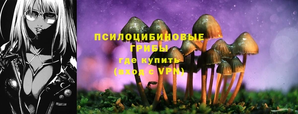 амфетамин Алексин